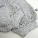 2-Piece Cozy Sweatsuit with Embroidered Sleeve, Light Gray Heather