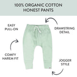 4-Pack Organic Cotton Honest Pants, Palm Beach