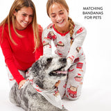 Organic Cotton Holiday Matching Family Pajamas, Hedgehog & Cocoa